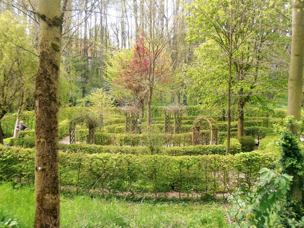 Gasthaus Schadde Vlotho Bagian luar foto
