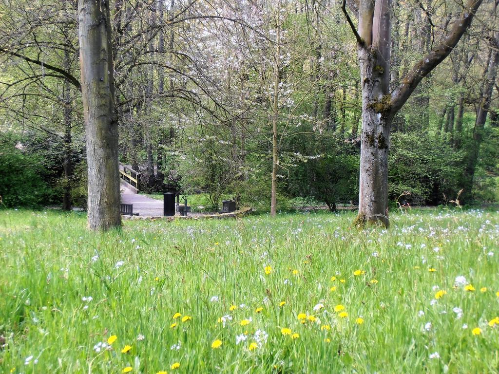 Gasthaus Schadde Vlotho Bagian luar foto